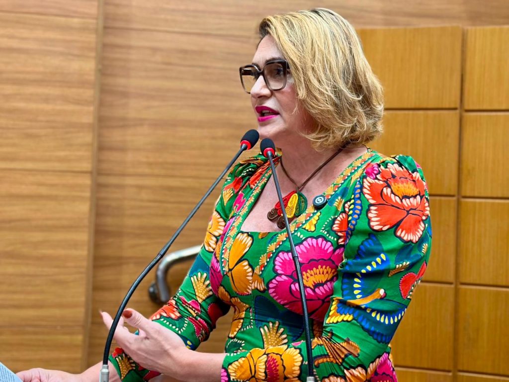 Deputada Linda Brasil critica privatização da saúde em tribuna da Alese