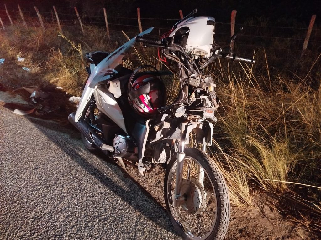 Motociclista morre após bater em cavalo na SE-204, no Baixo São Francisco