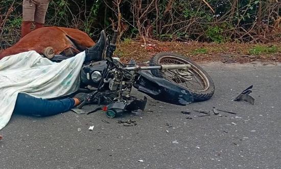 Jovem morre ao colidir moto com cavalo em rodovia do Baixo São Francisco