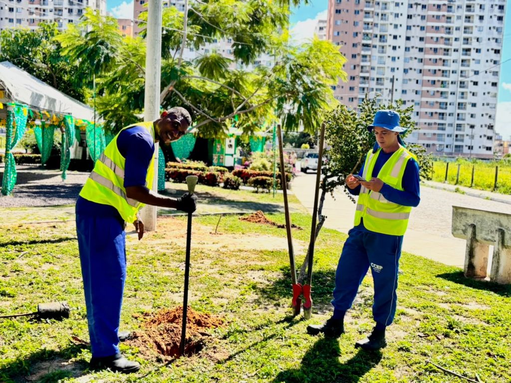 Prefeitura de Aracaju realiza plantio de 60 mudas em praças do bairro Luzia