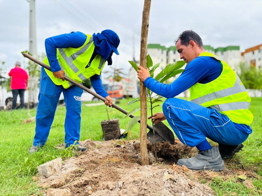 Prefeitura planta 82 mudas arbóreas na praça Jabotiana para criar bosque urbano