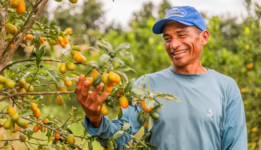 Sebrae e Umbaúba reúnem produtores no 2° Citrus Day nesta segunda