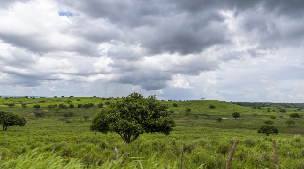 Sergipe terá semana de céu nublado com chuvas fracas no litoral e agreste