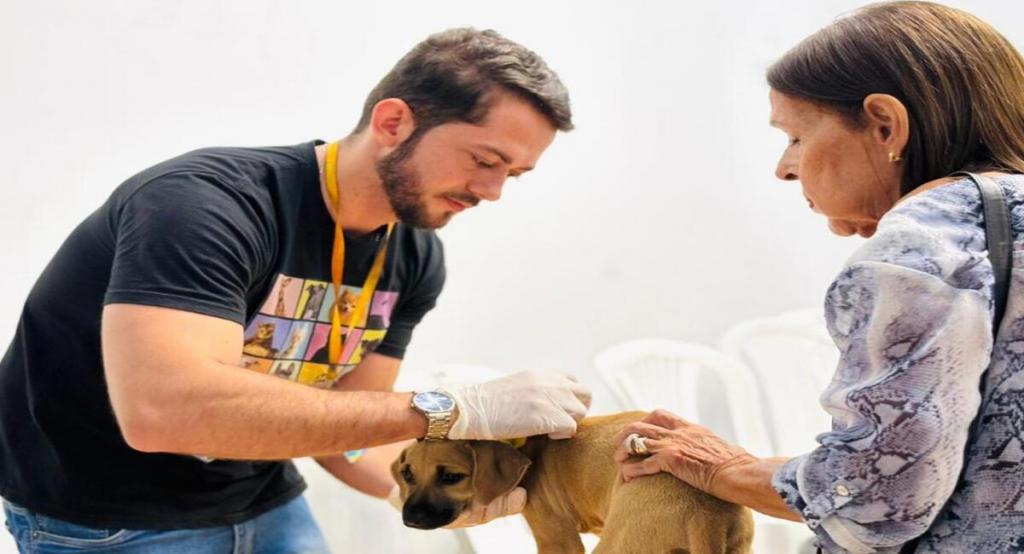 Aju Animal: Prefeitura registra mais de 2 mil atendimentos veterinários gratuitos