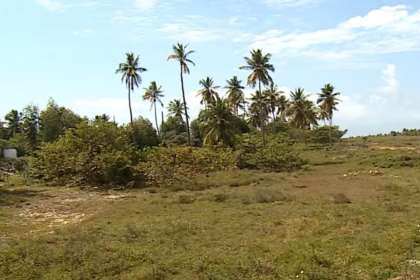 Justiça proíbe votação de projeto que extingue Reserva das Mangabeiras em Barra dos Coqueiros