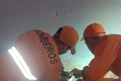 Bombeiros abrem parede e retiram gato preso no Porto Dantas