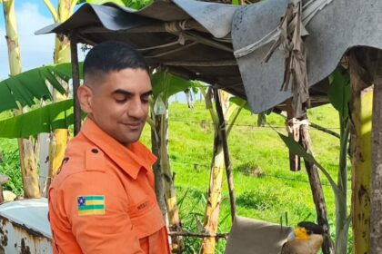 Bombeiros resgatam carcará com asa quebrada em Maruim