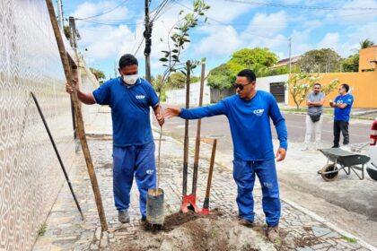Projeto Calçada Viva planta oito mudas em calçadas do Aruana