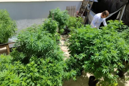 Feira em Fortaleza defende políticas sobre drogas com justiça social