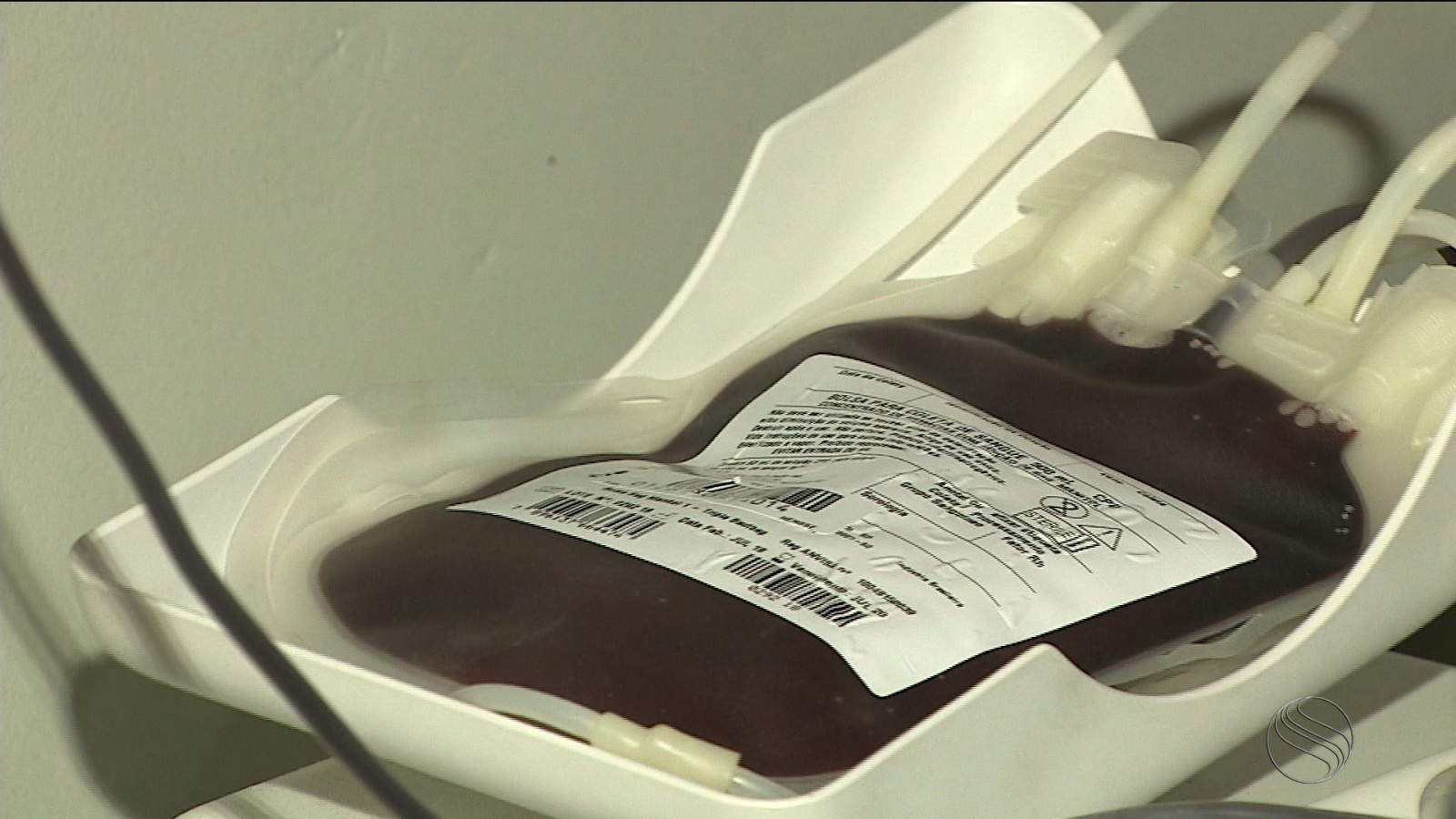 Hemose reduz prazos e amplia elegibilidade para doação de sangue