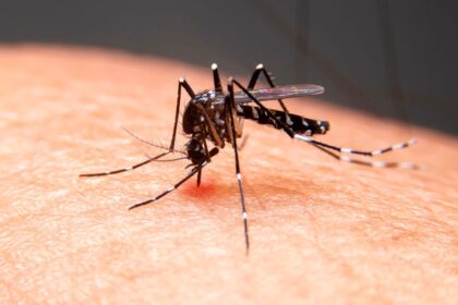 Nossa Senhora da Glória registra alto índice de Aedes no LIRAa 2026