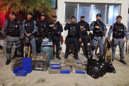 PM encontra cerca de 100 kg de maconha escondidos em Laranjeiras